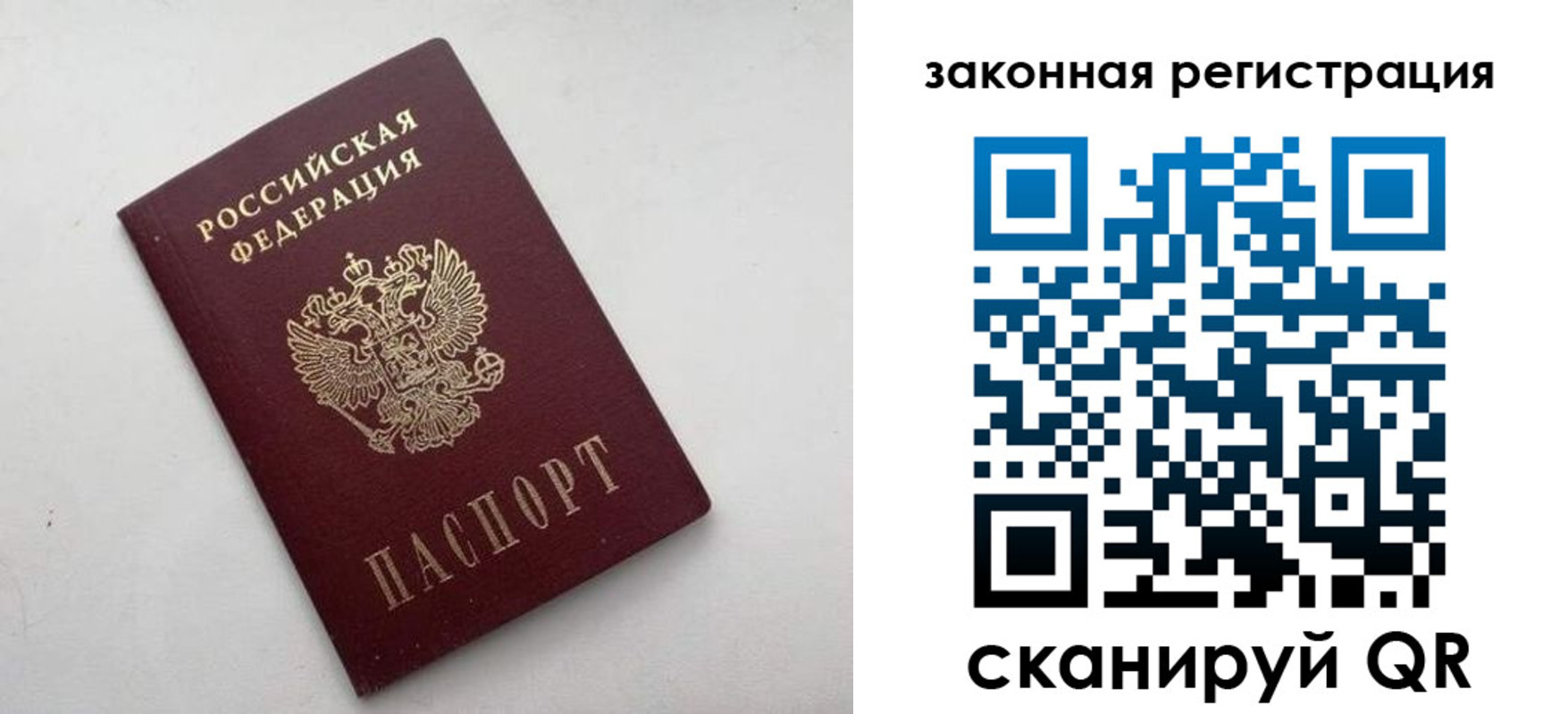 прописка гарантия в Александровске
